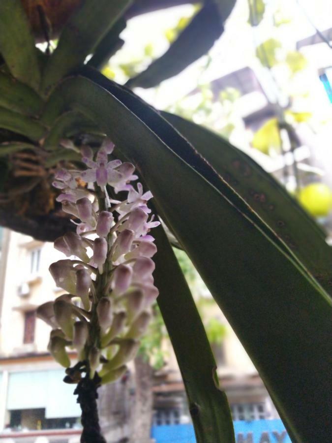 Hanoi Balcony Homestay Екстер'єр фото